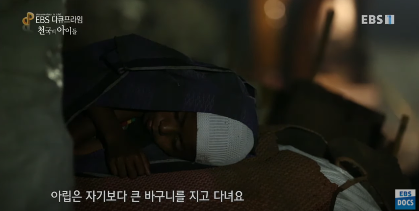 자극적 영상이 많아진 요즘, 안보면 후회하는 글 | 인스티즈