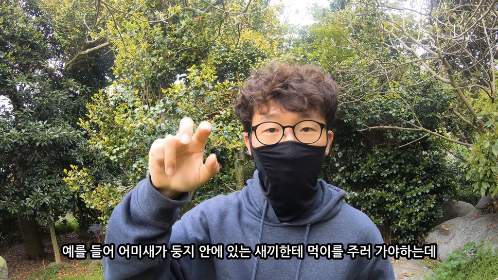 고양이가 자연생태계에 끼치는 심각한 영향(새 사체사진있음) | 인스티즈