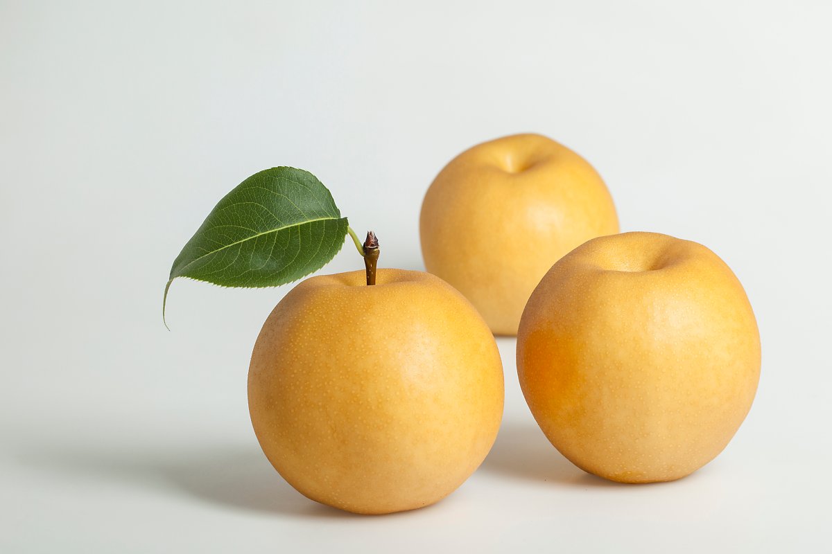 의외로 많이 틀리는 사과,배 문제 | 인스티즈