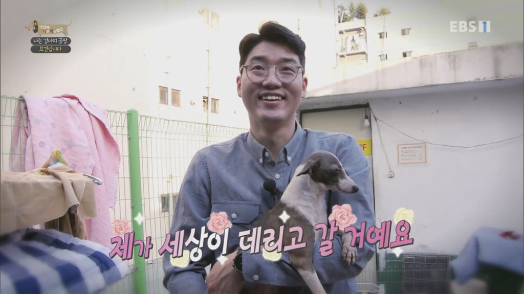 [세상에나쁜개는없다] 강아지 공장에서 구조되어 설채현 전문가에게 입양된 '세상이' 근황 | 인스티즈