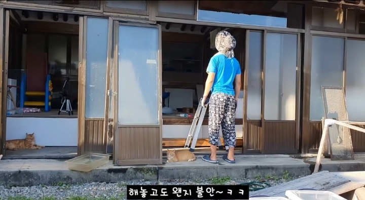 [매탈남] 고양이가 자꾸 방충망 뚫고 탈출함...jpg | 인스티즈