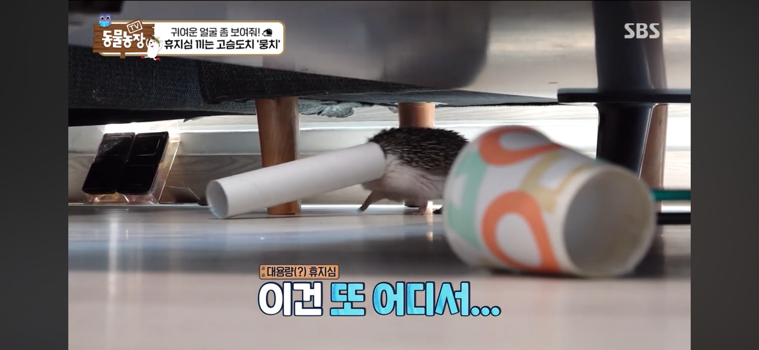 따봉고슴도치 휴지심 좋아도치 | 인스티즈