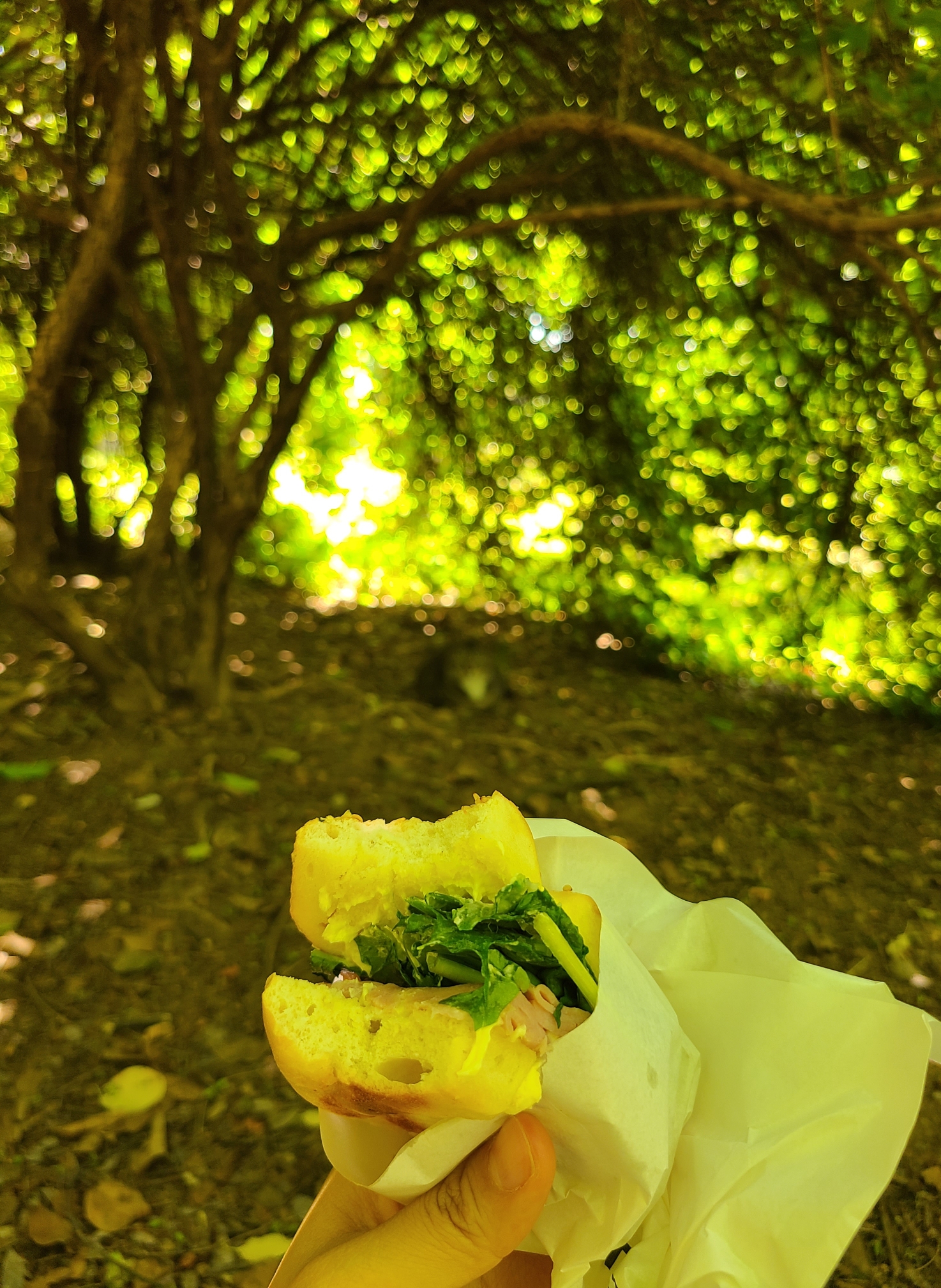 고양이랑 샌드위치 먹었어 🥪🐱 | 인스티즈