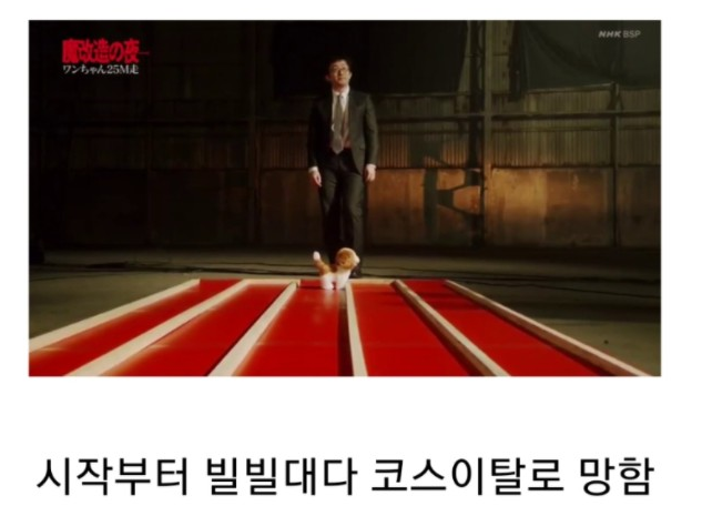 마개조의밤 강아지 완구를 개조하는 일본 자동차 엔지니어들 | 인스티즈