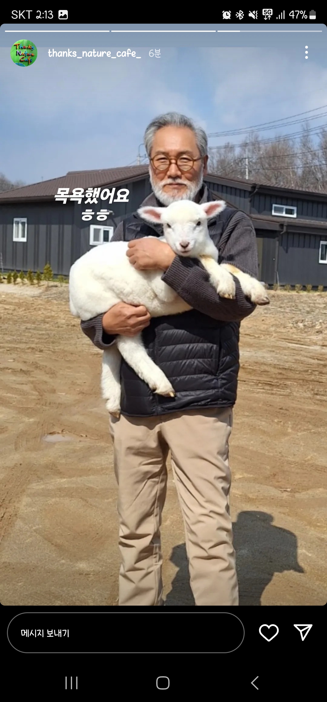 NEW) 홍대 양카페 새로운 양 친구들 🐑 | 인스티즈