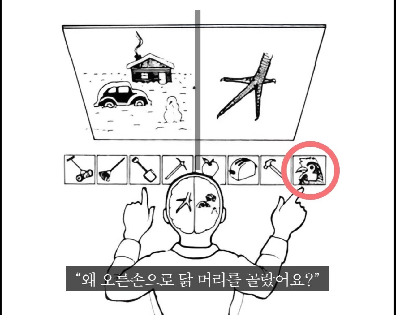 오싹오싹 스스로에게 구라치는 뇌.jpg | 인스티즈