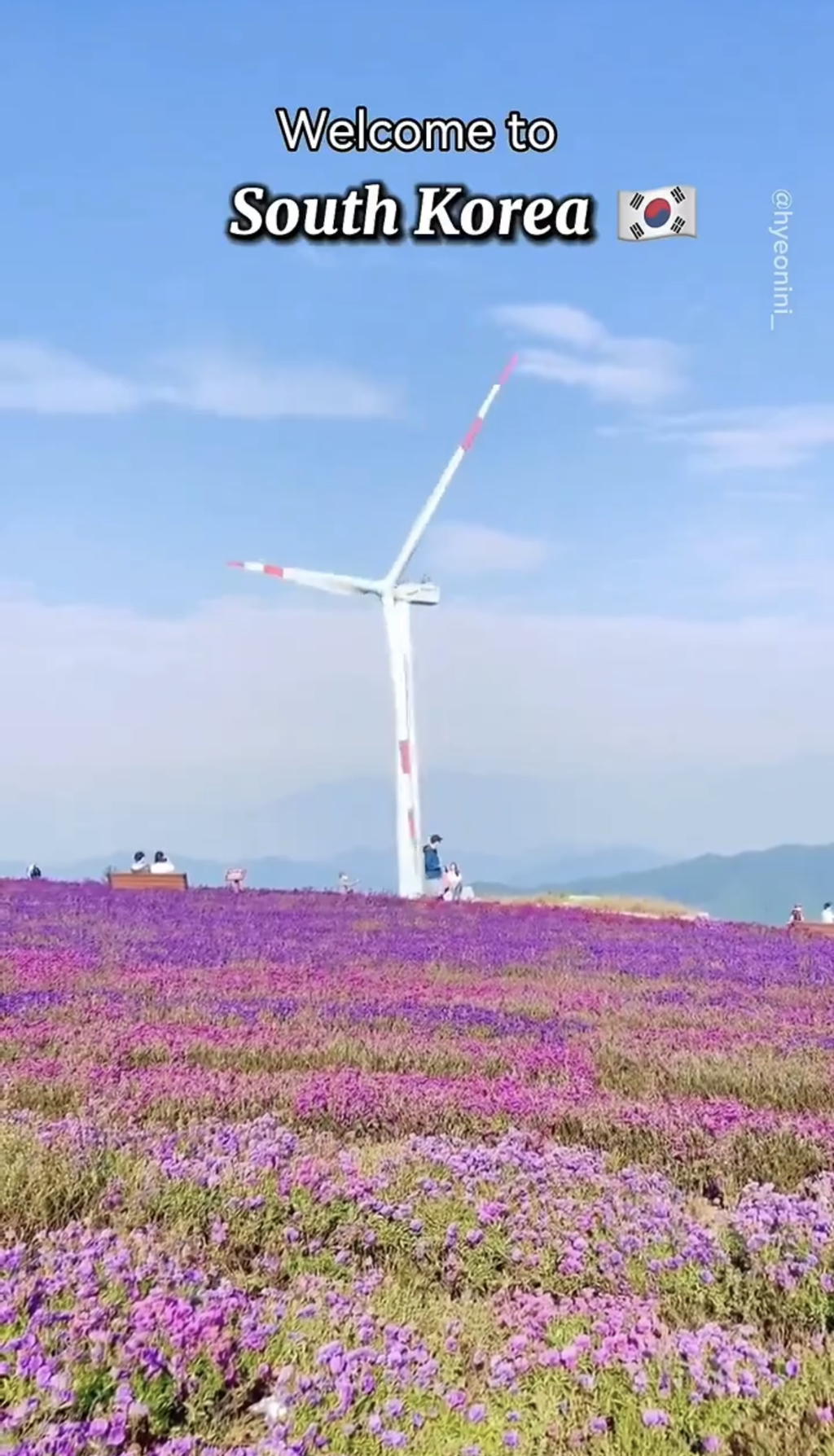 트위터에서 화제되었던 외국인이 소개하는 한국의 관광 여행지들 | 인스티즈