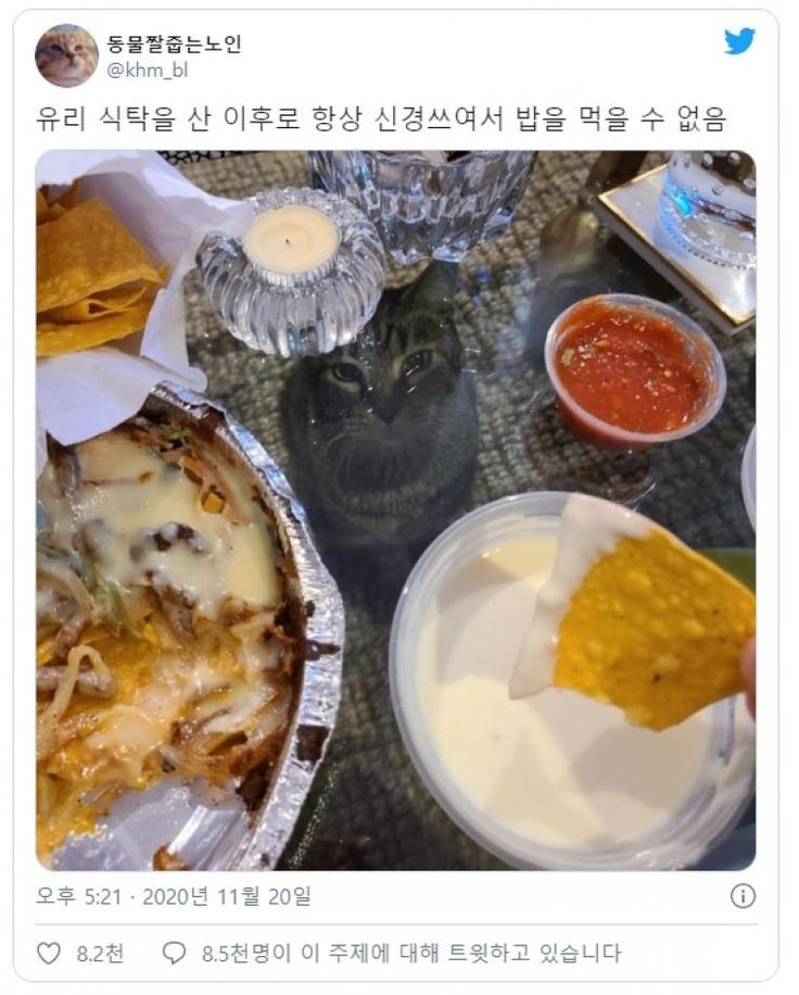 유리 식탁을 산 이후로 신경이 쓰여서 밥을 먹을 수가 없다🥹 | 인스티즈