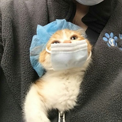 나도 마스크 꼈어 | 인스티즈