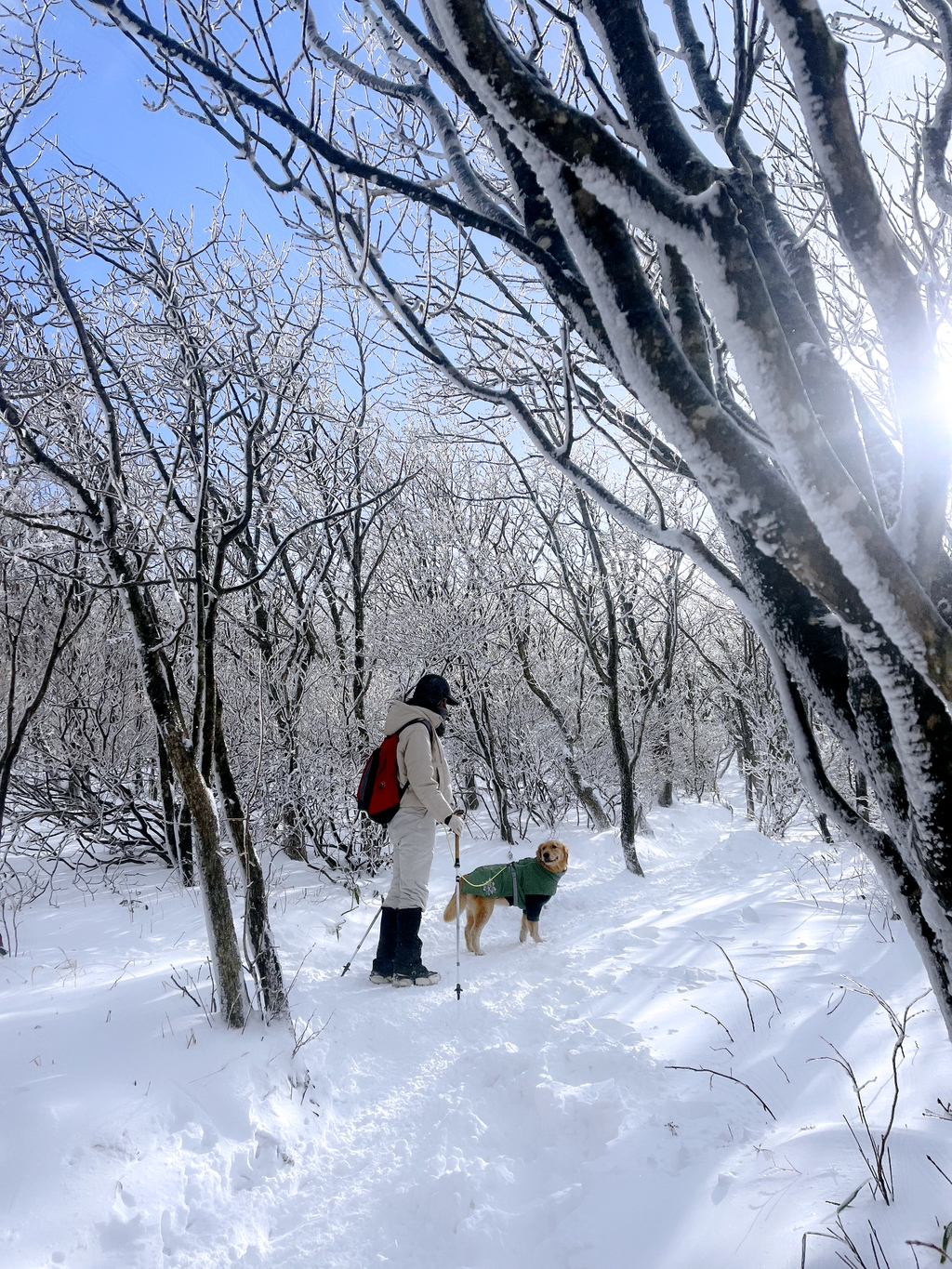 울강쥐 등산천재야 | 인스티즈