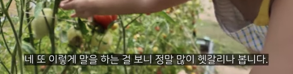 이중언어 (🇰🇷🇺🇸)로 키우면 겪는 현실적인 문제점 | 인스티즈