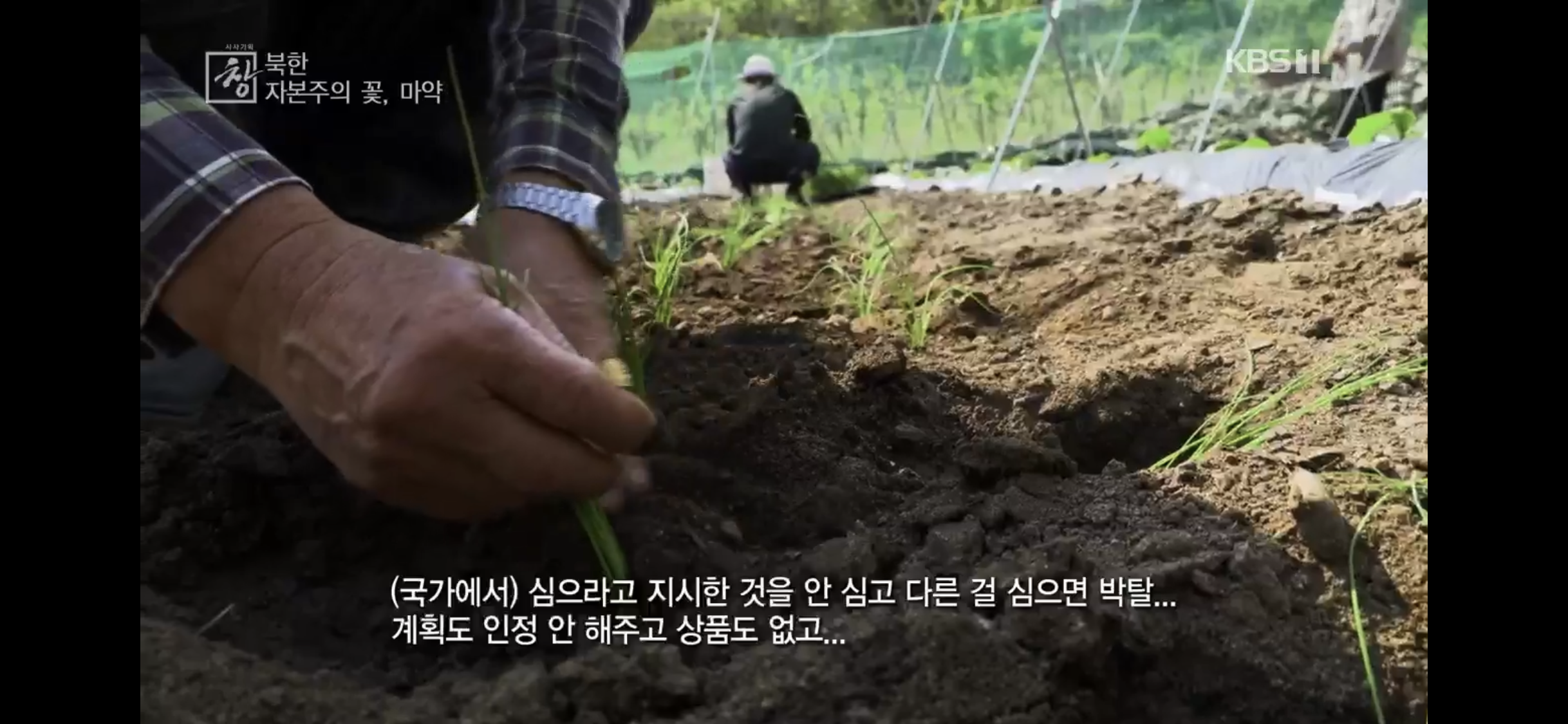 탈북민 출신 전직 북한 검사가 말하는 북한 마약 상황 | 인스티즈