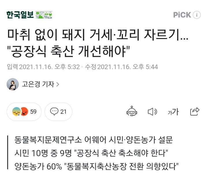 태어나자마자 바쁜 아기 돼지 (혐오주의) | 인스티즈