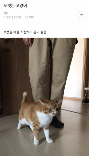 웃고 가는 달글 7 | 인스티즈