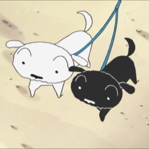 흰둥이 이미지