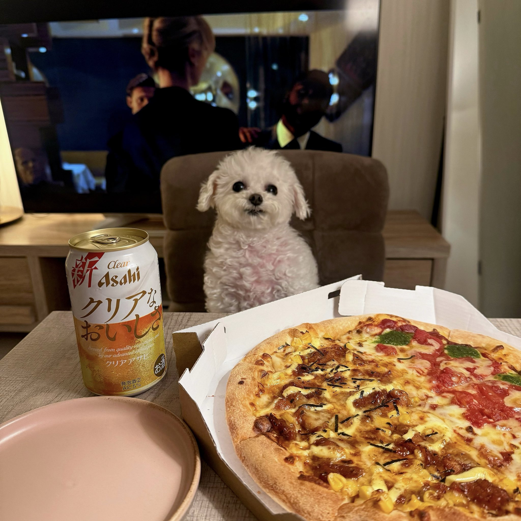 반려견과 함께 밥먹는 사진으로 화제된 트위터 계정.jpg | 인스티즈