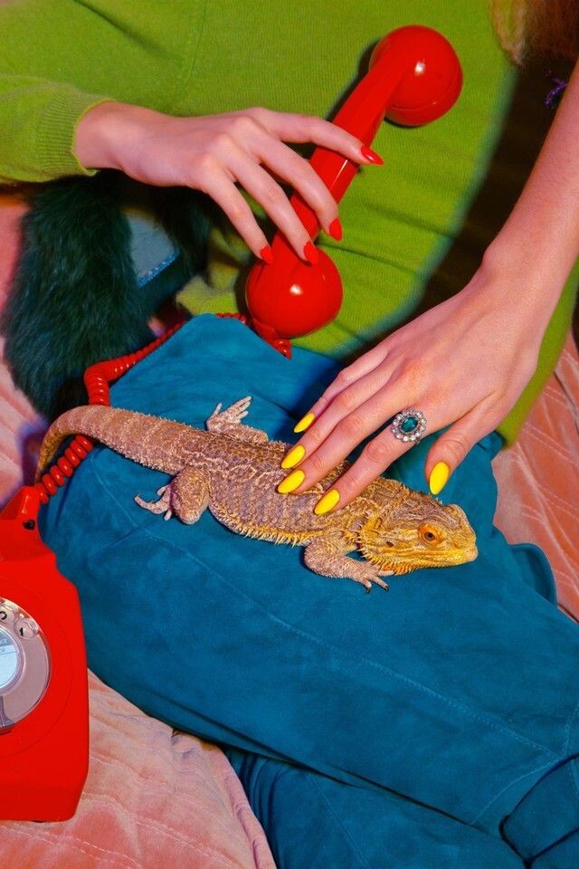 ViViD 이미지