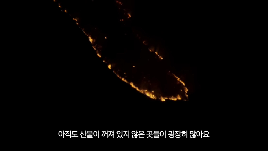 수빙수가 말하는 산불 현장 | 인스티즈