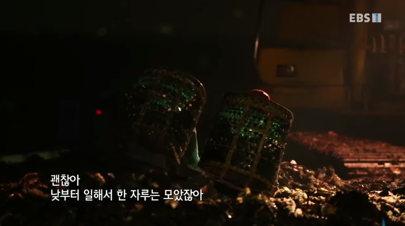 자극적 영상이 많아진 요즘, 안보면 후회하는 글 | 인스티즈