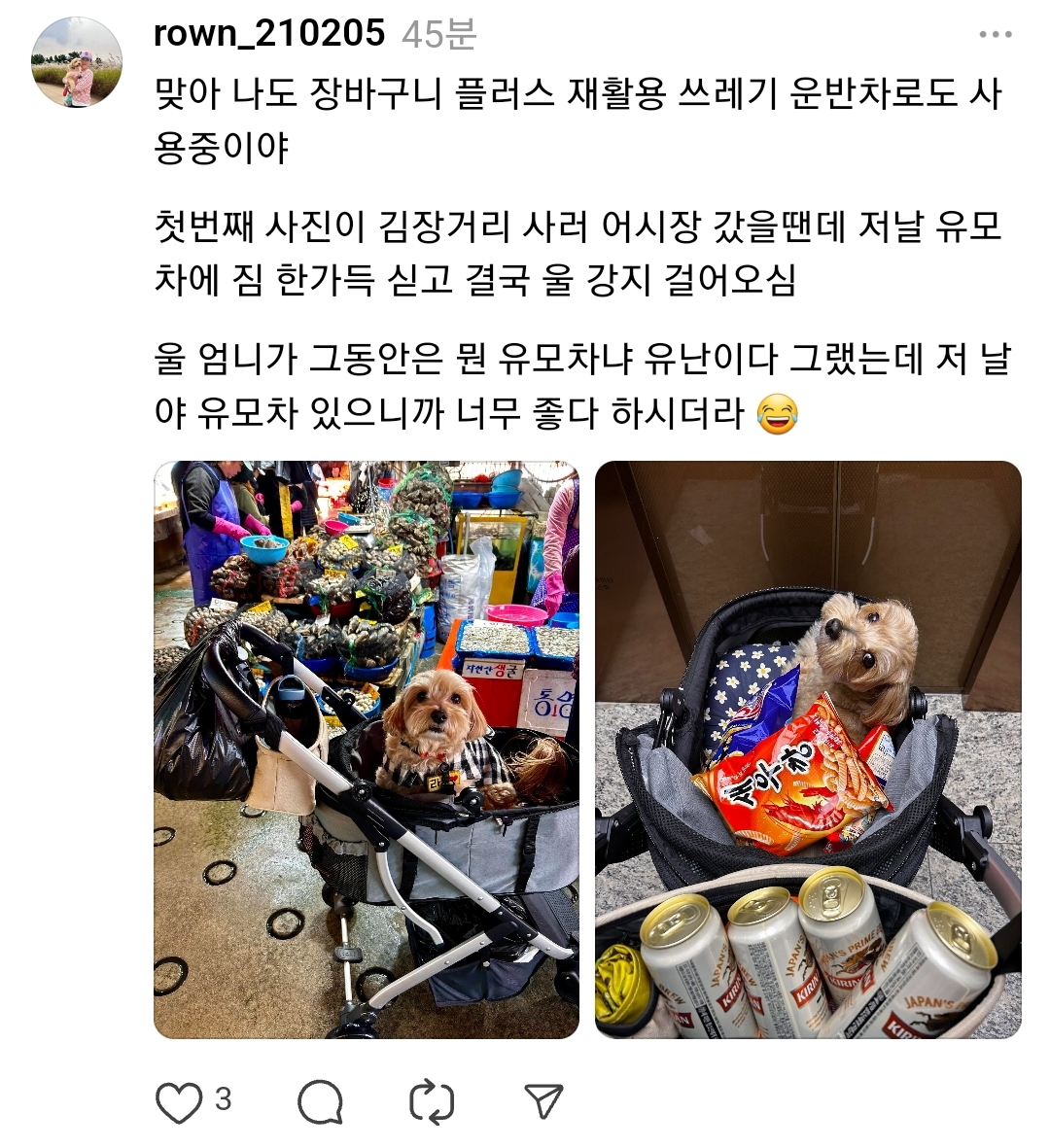 🐶: 강아지 유아차가 뭐라고 생각해? | 인스티즈