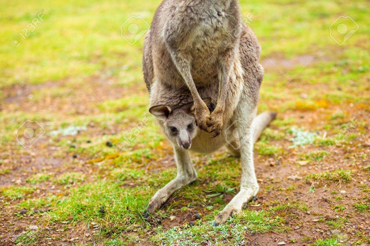 부모님이랑 같이 사는 사람 중에서 생활비는 안 드리지만, 이렇게 사는 사람들이 은근 있음 | 인스티즈