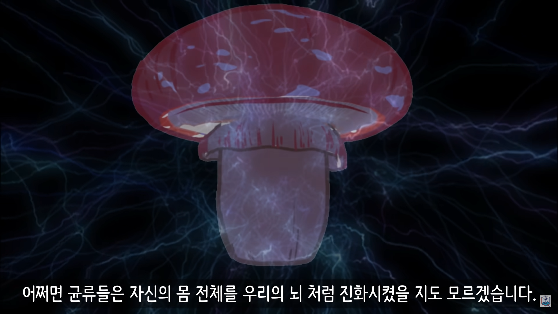 버섯이 단어와 문장을 사용해 서로 대화하고 있을지도 모른다고? | 인스티즈