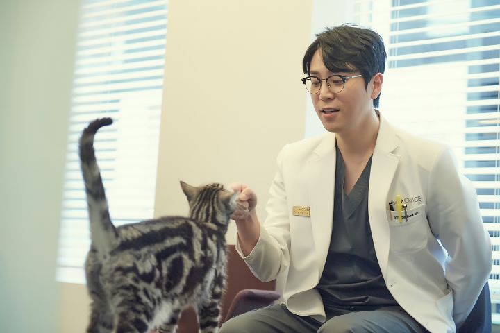 개 전문가와 고양이 전문가 인상 차이 | 인스티즈