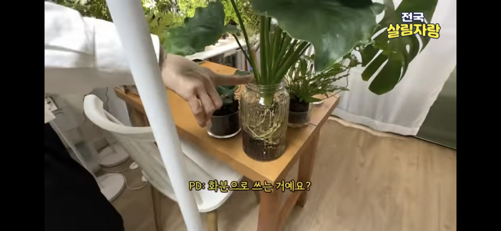 저비용 고효율로 행복해질 수 있는 집꾸미기 팁 | 인스티즈