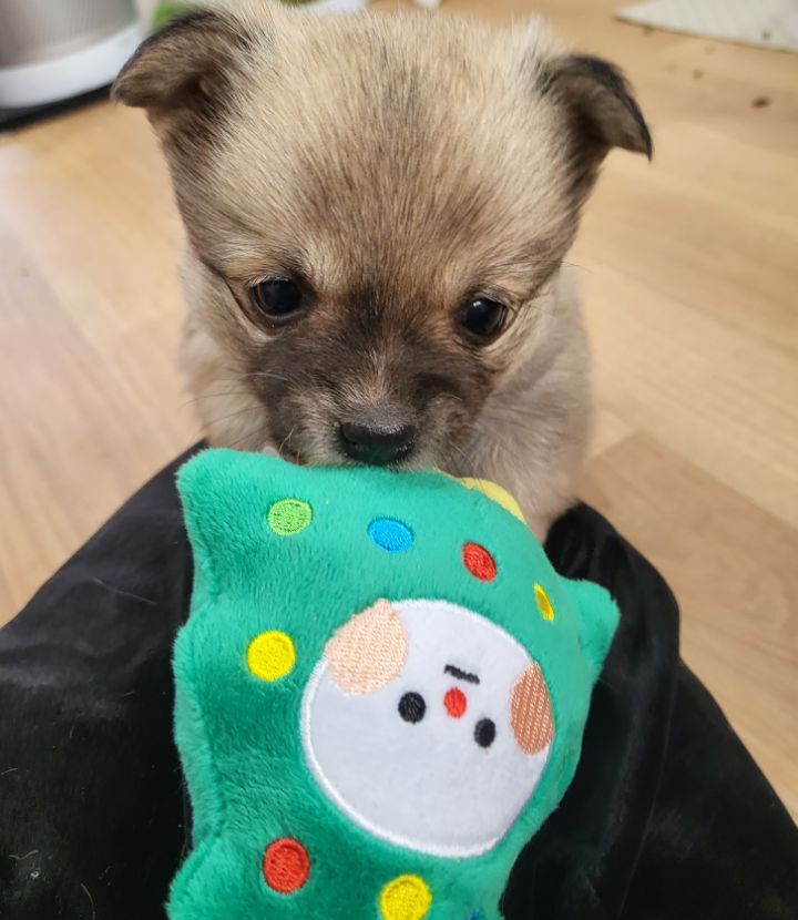 (공지라니... ++추가)새로생긴 회사 복지.. 미쳐서 도저히 일을 못하겠네.. (추가....)++추가 | 인스티즈