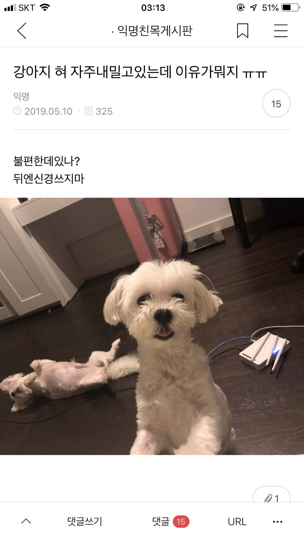 실수로 전여친 인스타스토리 봐버림...jpg | 인스티즈