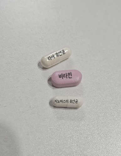 지노 이미지