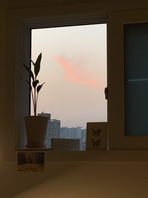 자기만의 방, 그 안에서 나 홀로 잘 살기 | 인스티즈