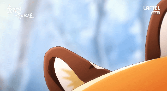 🇰🇷🇰🇷순도100% 국산애니! 🇰🇷🇰🇷힐링물 🐯호랑이 들어와요🐯국산애니 많관부!! | 인스티즈