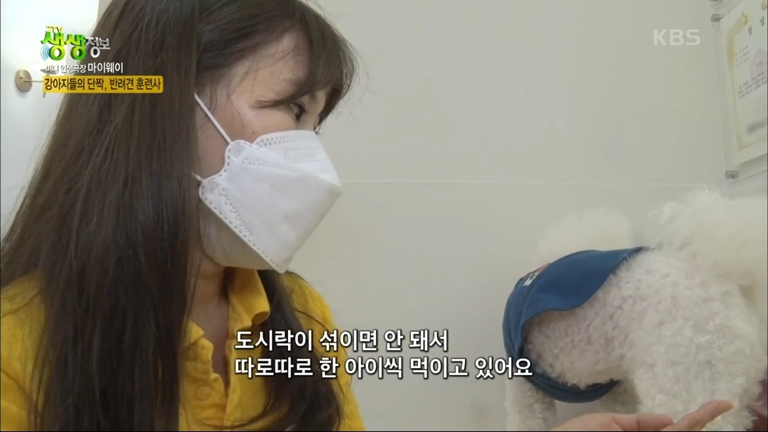 강아지 유치원.jpg | 인스티즈