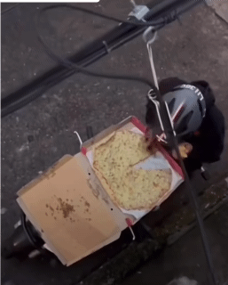 피자 빼먹는 방법 | 인스티즈