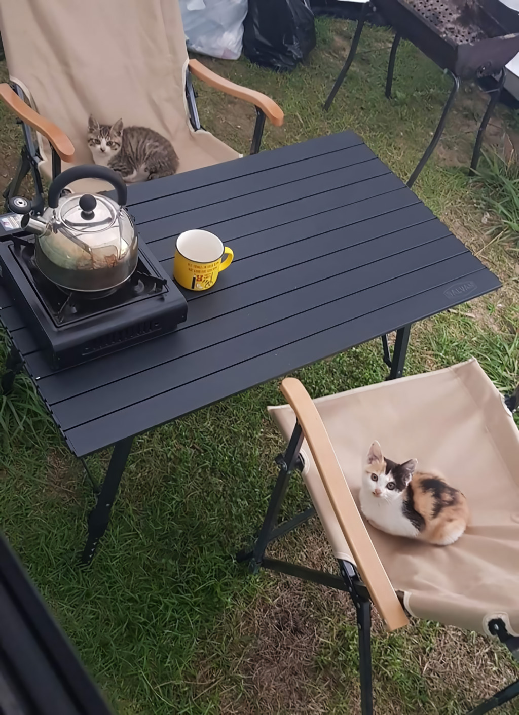 캠핑을 갔다… 아침에 일어나보니 | 인스티즈