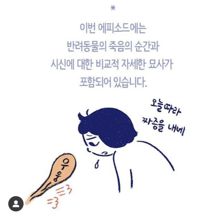 반려동물을 떠나보낸다는 것 | 인스티즈