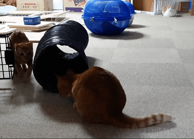 ddcad7ca3240a0cf8be681626fbedca2ec4b5ce0