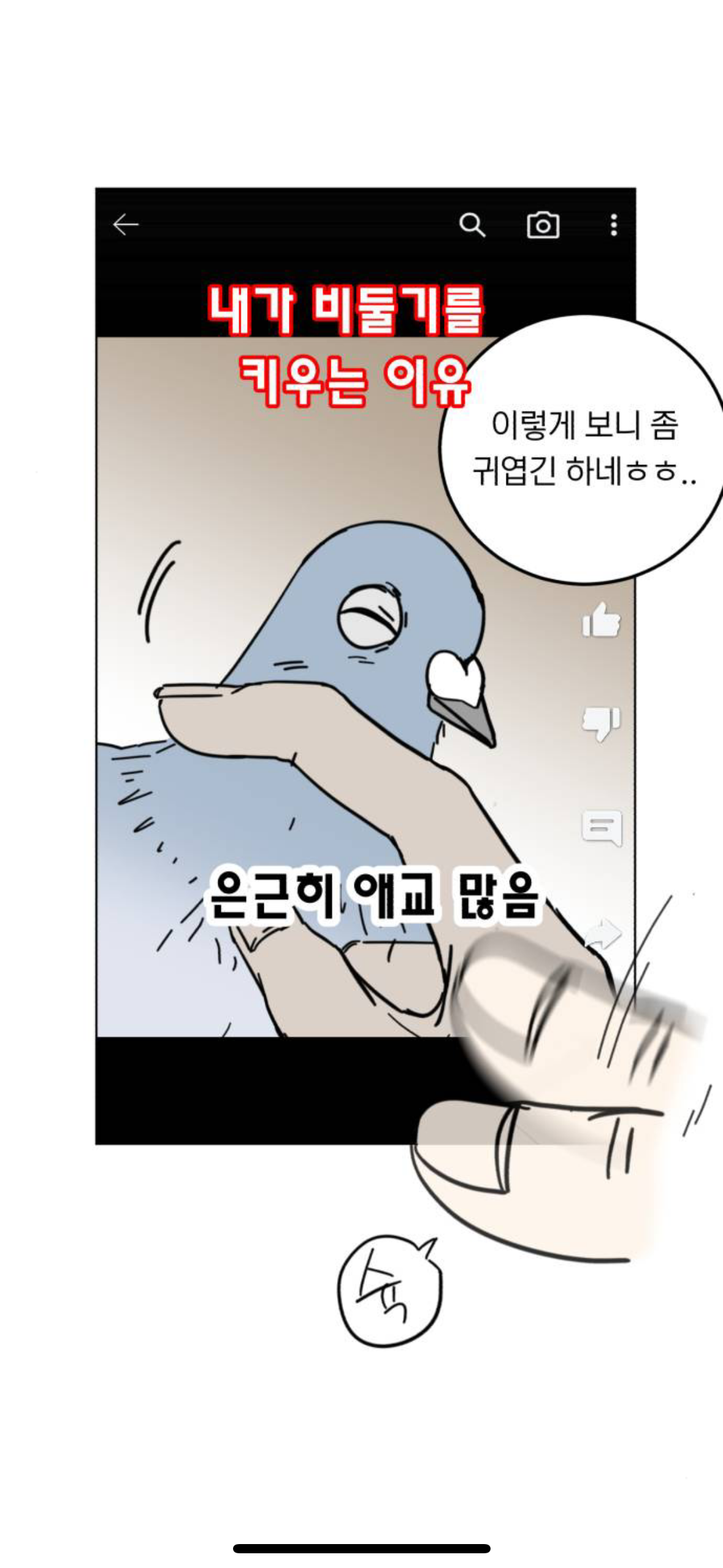 아니 내가 살다살다 비둘기를 볼려고 돈을쓰네 | 인스티즈