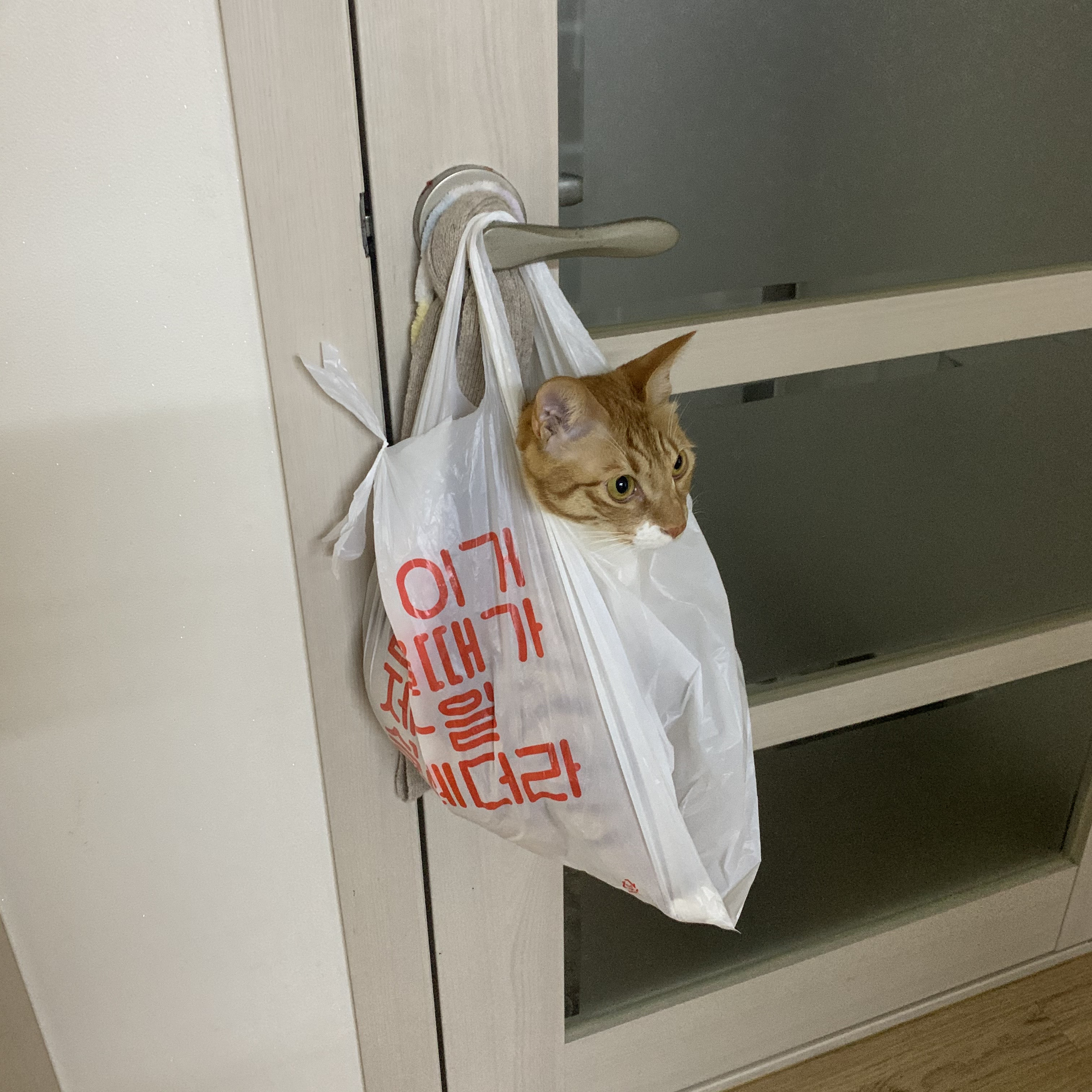 가... | 인스티즈