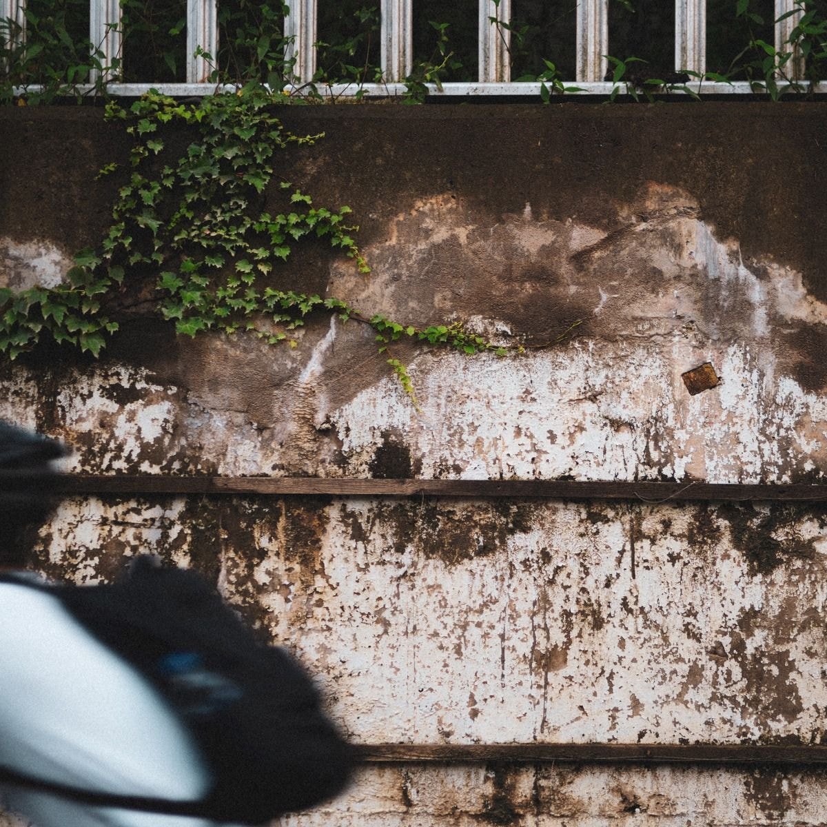 조울증 환자가 산책하면서 찍고 다닌 사진들 | 인스티즈