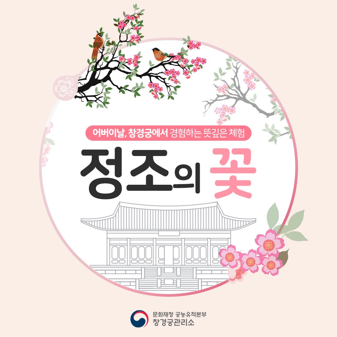 카네이션 말고 한국의 전통 효도 꽃 | 인스티즈