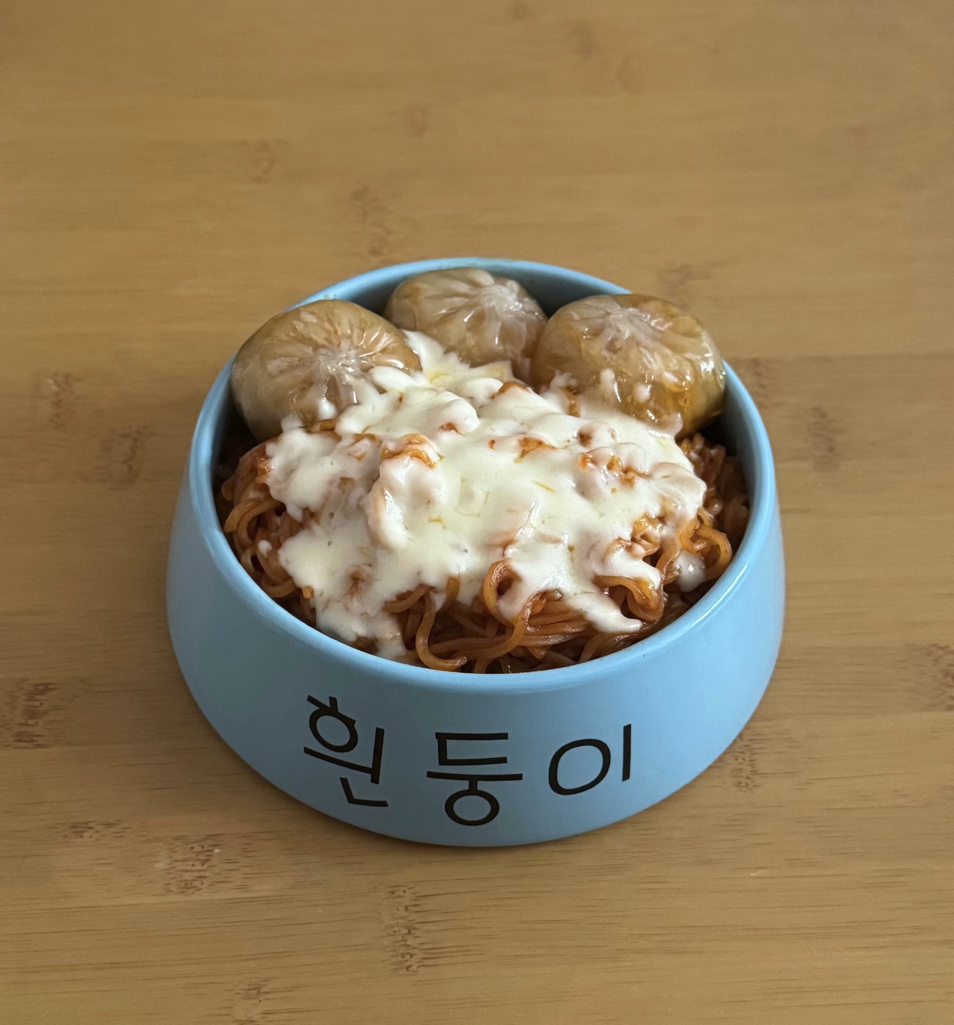 흰둥이 밥그릇에 밥먹는 사람 | 인스티즈