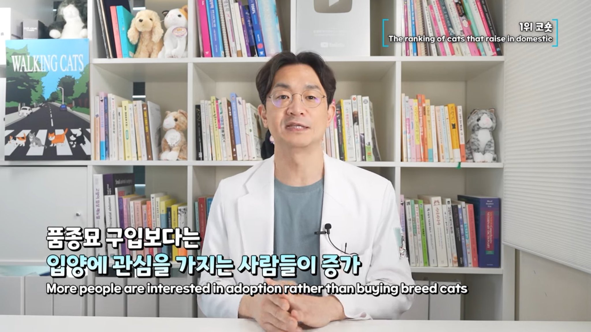 국내에서 많이 키우는 반려묘 순위.jpg | 인스티즈
