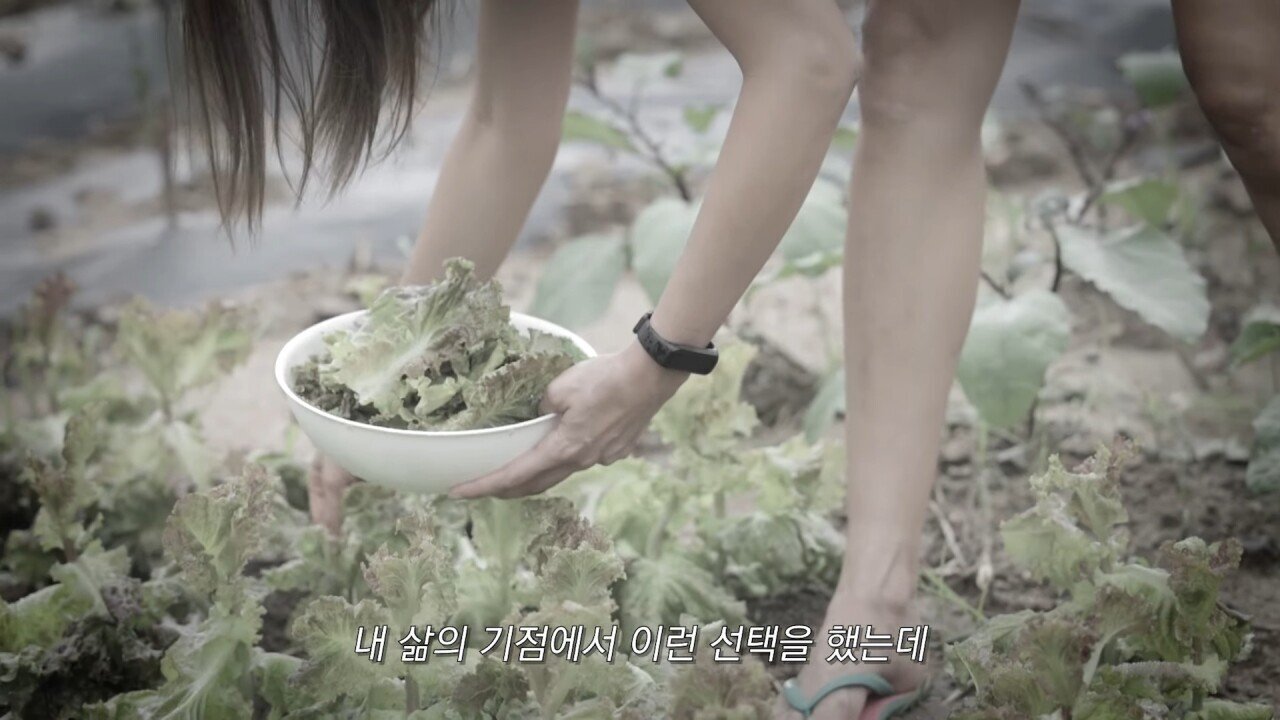 실제로 귀촌을 준비 중이라는 연예인.jpg | 인스티즈