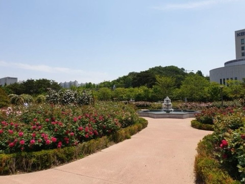 광주광역시 시청이 이 모양으로 지어진 이유 | 인스티즈