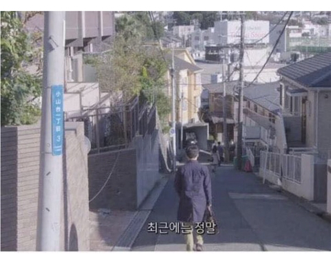 반려동물 키우는 여시들 출근길 사찰; | 인스티즈