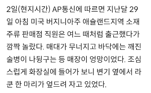 "출근했더니 가게가 엉망이에요”…위스키 마시고 실신한 난봉꾼 정체 | 인스티즈