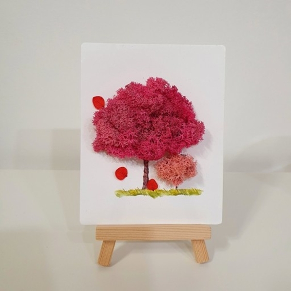 아니 누가 대체 이끼를 돈 주고 사서 인테리어 제품으로 씀?; | 인스티즈