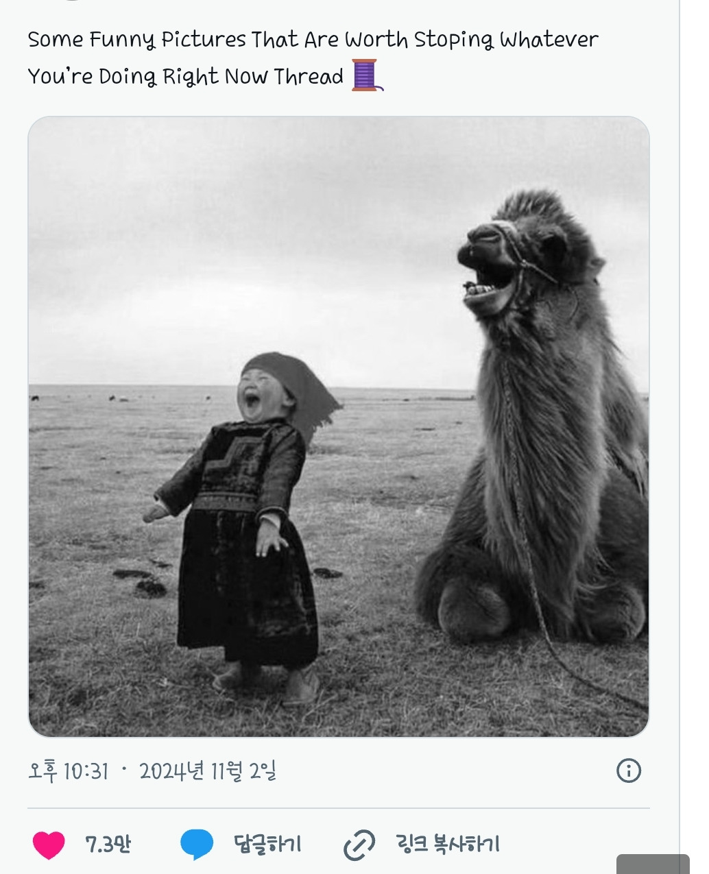 이 사진을 보면 기분이 좋아질 걸 | 인스티즈